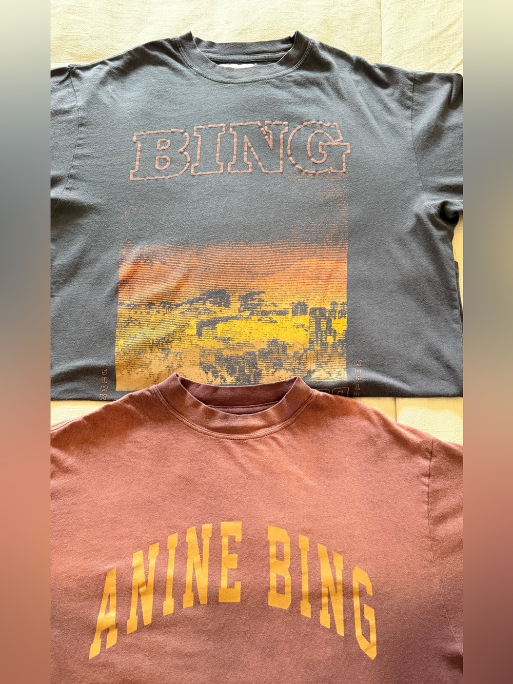 ANINE BING Graphic Logo Tee
